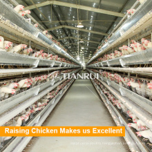 Chicken Farm Supplies Galvanized Wire Mesh Cage